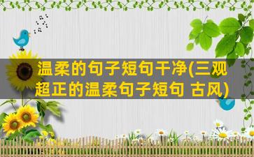 温柔的句子短句干净(三观超正的温柔句子短句 古风)